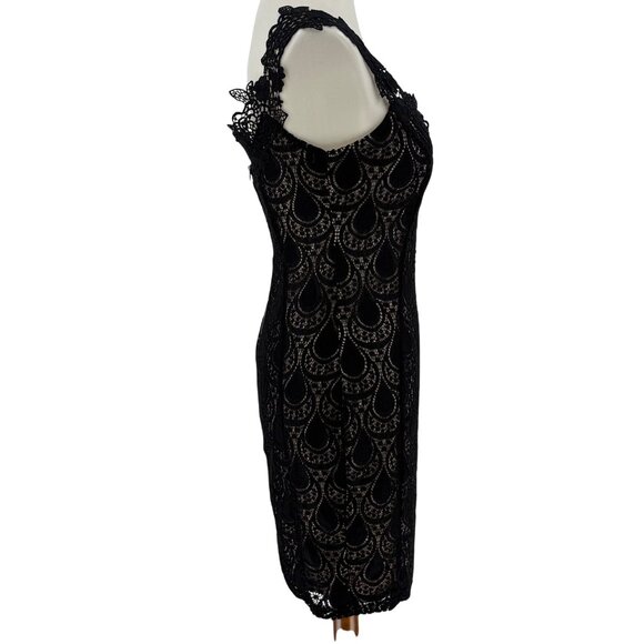 Papaya Womens Black Lace Dress Large Nylon Spandex Blend - Picture 2 of 9